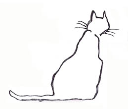 Kat